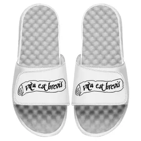 Vita Est Brevis White Slides